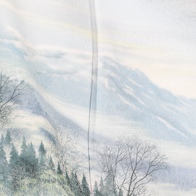 Japanese kimono used <houmongi> M-size silk 100% /B839