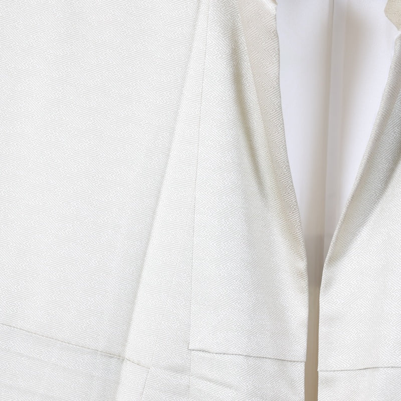 Japanese kimono Unused New <houmongi> L-size silk 100% /B836