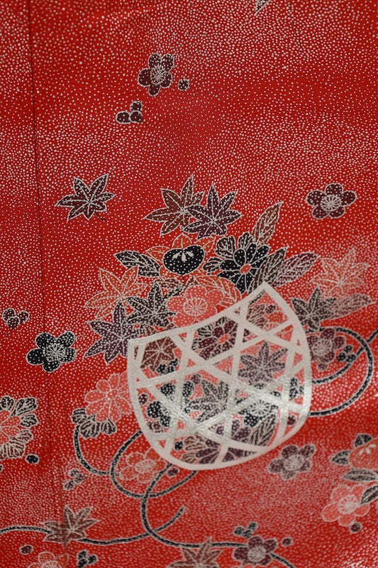 Long-sleeved kimono (Furisode) /B58