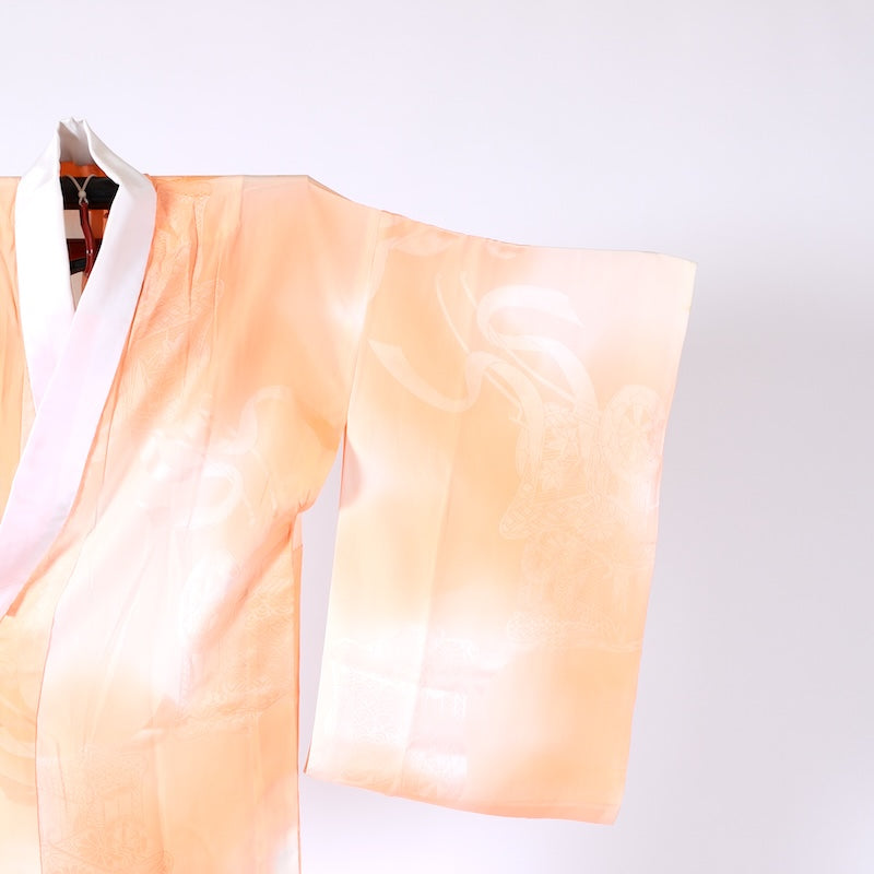 M-sizeWear under the kimono undershirt used(Nagazyuban) silk/A200