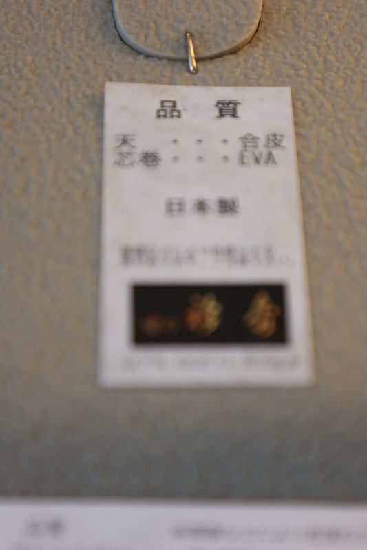 Footwear(Zori) New /R9