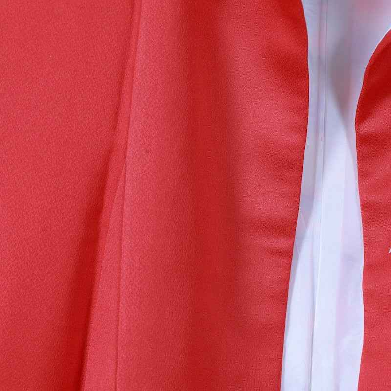 Long-sleeved kimono (Furisode) /B50