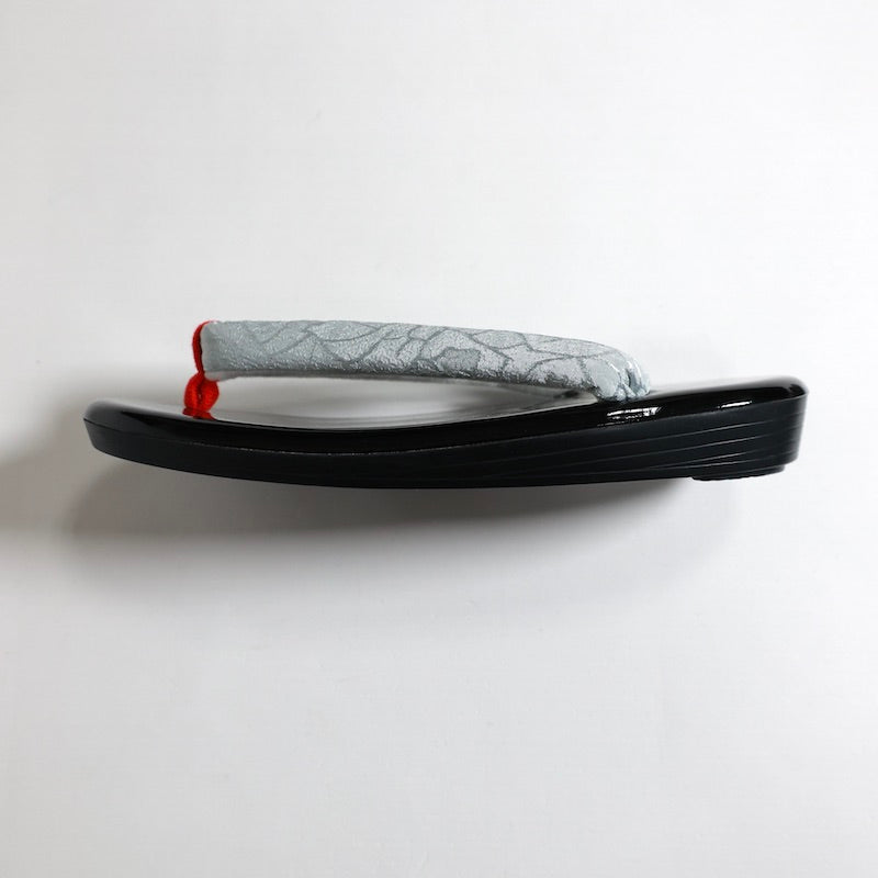 Footwear(Zori) New / 1031