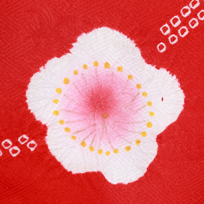 Kids Girl Kimono (Yotsumi) /TT6