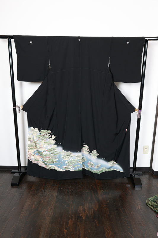 Black formal used kimono (Kyoto Yuzen dyeing), five crests, omodaka water plantain design, artist-made, seaside landscape design, R252
