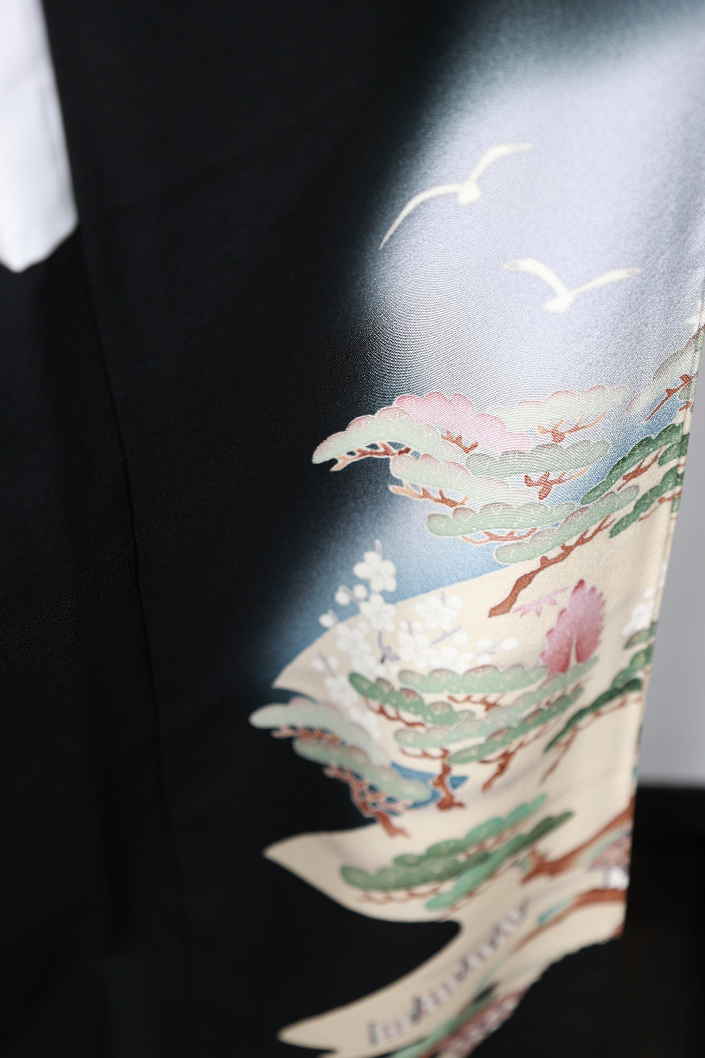 Black formal used kimono (Kyoto Yuzen dyeing), five crests, omodaka water plantain design, artist-made, seaside landscape design, R252