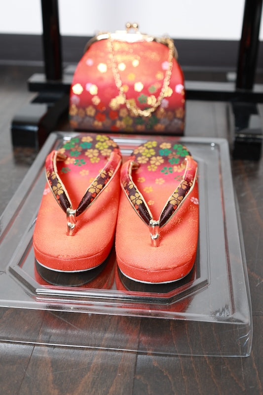 Girl Zouri(Shoes) Bag /D43