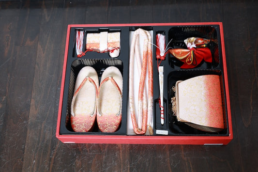 Girl Zouri(Shoes) Bag /D44