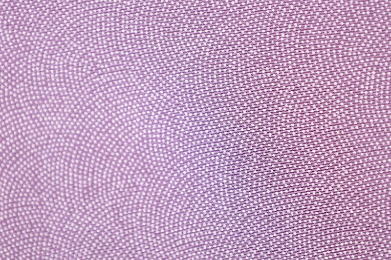 Komon kimono new elaborate A crisp purple　/D53