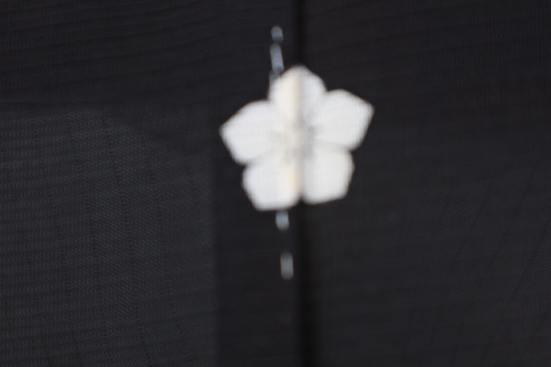 Summer black formal kimono used (Kurotomesode), black with silver accents, Chaya-tsuji pattern, embroidered, five crests of bellflowers (B1555