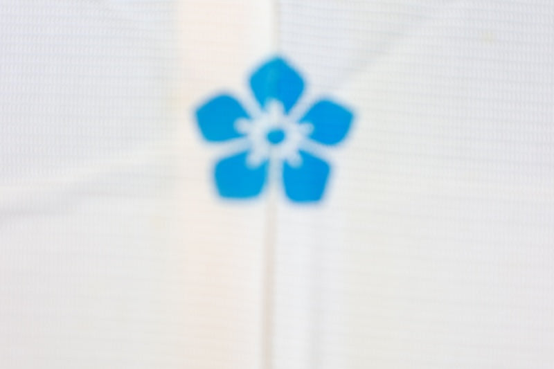 Summer- kimono used, ro (gauze weave), off-white, five-crest bellflower design, B1549