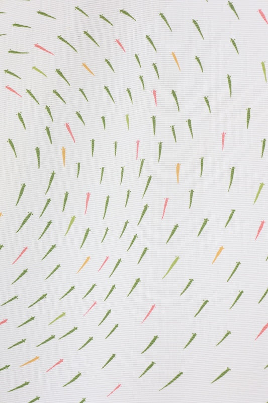 Summer Komon used (Kimono), ro (high-quality silk), off-white, green, red, ochre, medaka (Japanese rice fish) pattern, B1559